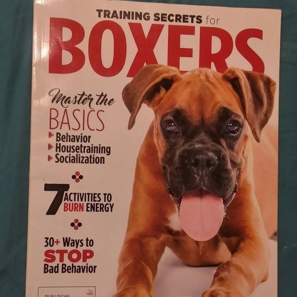 "Training Secrets for Boxers" Magazine